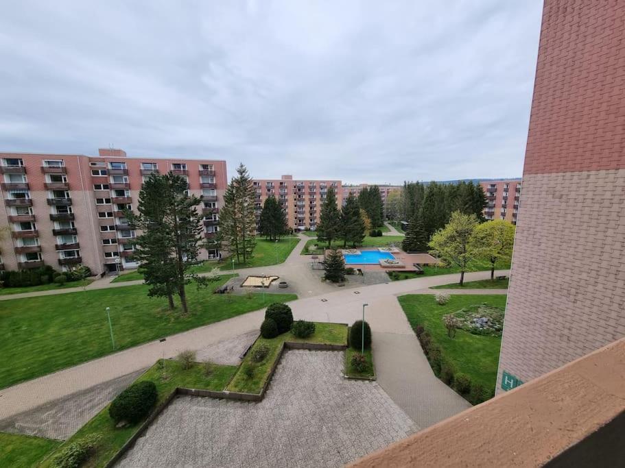 Ferienwohnung Altenau Im Harz, Hunde Exteriér fotografie